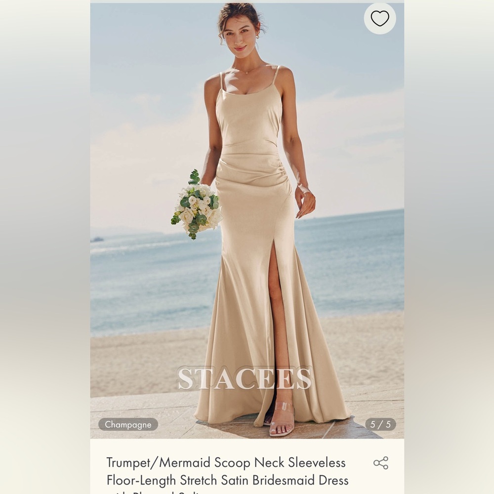 Champagne Scoop Neck Dress